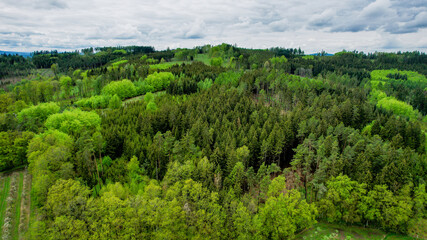 Fototapeta na wymiar Aerial view of a beautiful forest