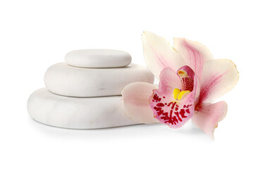 Spa stones with beautiful orchid flower on white background