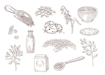 Hand drawn vintage sketch of ways of using oats. Bowl of oatmeal, cereal, cookies, grains in scoop, plants isolated on white background engraved illustrations set. Food, cooking, agriculture concept