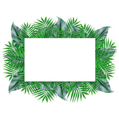 green leaves monstera and kentia with white paper note frame 