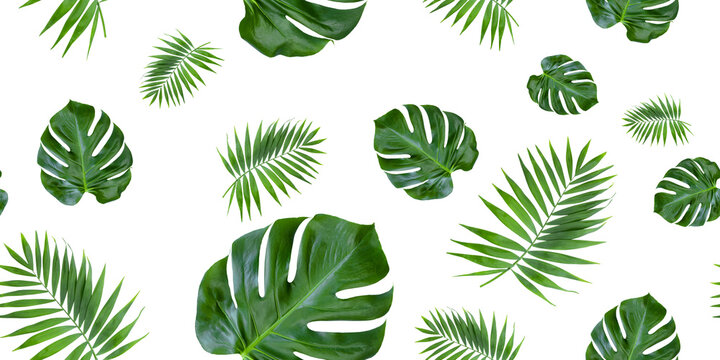 Seamless pattern of green palm leaves foto stock stock phot