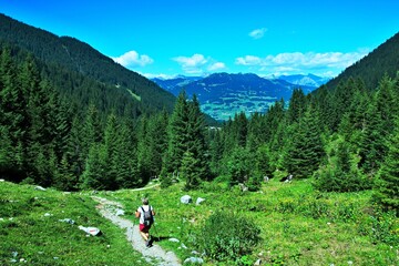 Fototapeta na wymiar Austrian Alps-outlook from the valley Gauertal