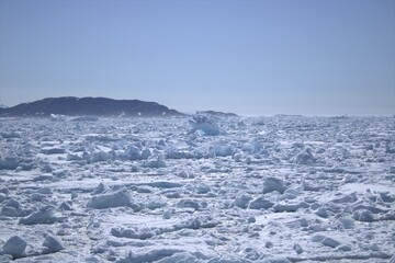 Fototapeta na wymiar Packed ice in Greenland