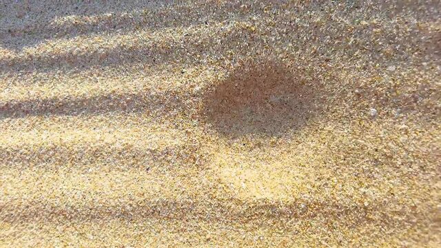 slow motion of moving sand from the wind. Top view