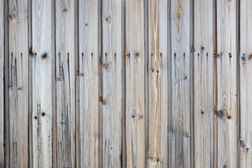 weathered wood texture of wooden planks with nails