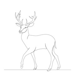 deer drawing by one continuous line, isolated, vector