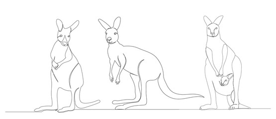 kangaroo drawing by one continuous line, isolated