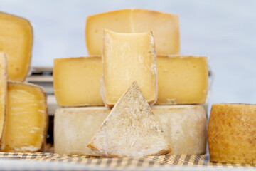 Cured cow cheese with blue background, selective focus.
