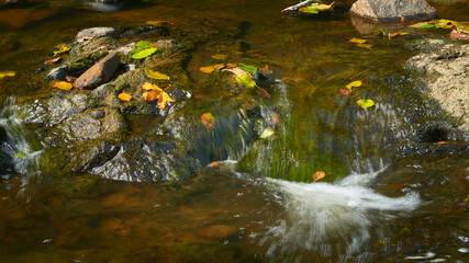 A small forest stream flows among the stones in the autumn season.