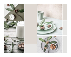 Face cream and milk made from almond. Grey clean design moodboard. Photo Collage with copy space....