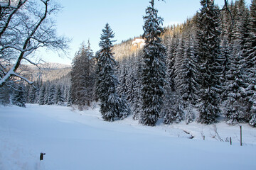 Winterlandschaft, ein Zauber in Schnee und Eis. Kleinschmalkalden, Thueringen, Deutschland, Europa-- 
Winter landscape, a magic in snow and ice. Kleinschmalkalden, Thuringia, Germany, Europe