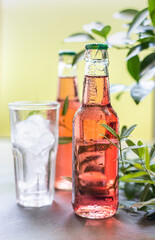 Bottles with cold pink lemonade and glass with ice, green background with leaves. Summer refreshing drink.