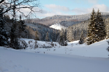 Fototapeta na wymiar Winter landscape, a magic in snow and ice. Kleinschmalkalden, Thuringia, Germany, Europe