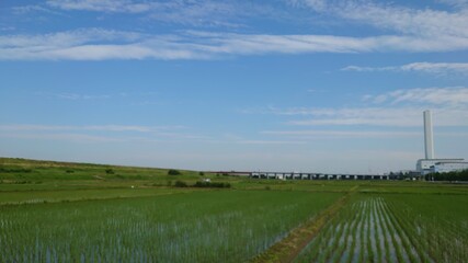 田園と青空