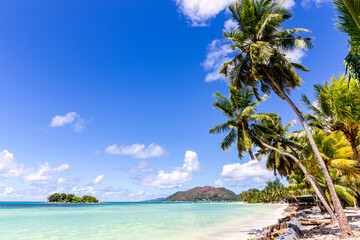 Cote D'Or Beach (Anse Volbert) on Praslin Island, beautiful tropical sandy beach with lush coconut palm trees, azure ocean and no people..