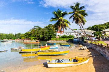 Many colorful small wooden boats moored at Baie Sainte Anne bay on Praslin Island, with palm trees and tropical plants around, white sandy beach, and Sainte Anne village in the background. - obrazy, fototapety, plakaty
