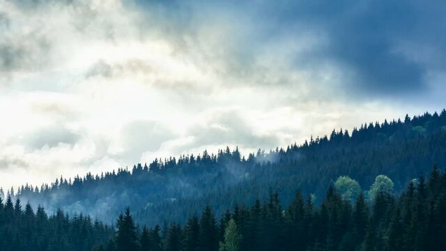 time lapse of mountain forest