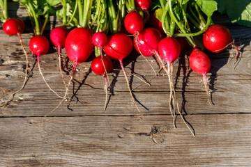 Fresh red radish with leaves on rustic wooden table. Top view