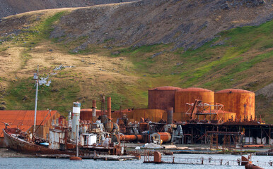 Grytviken Zuid Georgia, Grytviken South Georgia