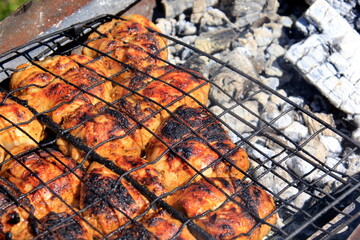 grilled meat skewers, barbecue. Fresh chicken meat holder over fire burned churcoal in outdoor party