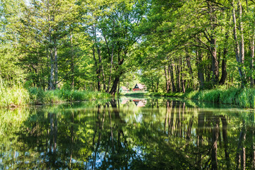 Fototapeta na wymiar Water canal with beautiful water reflection in the biosphere reserve Spree forest (Spreewald) in the state of Brandenburg, Germany