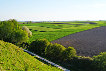 View on fields and meadows, landscape of Polish countryside