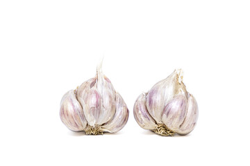 Garlic isolated on white background..
