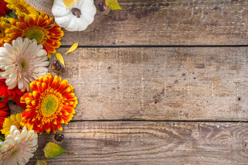 Cozy autumn background with with colorful flowers, red yellow leaves, white pumpkins and warm...