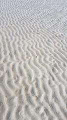 Nordsee bei Ebbe mit Spuren der Gezeiten