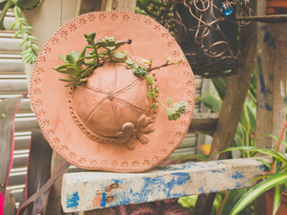 Ceramic hat with succulent plants on it. Toned image.
