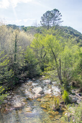 Fototapeta premium Corse du sud, France