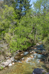 Corse du sud, France