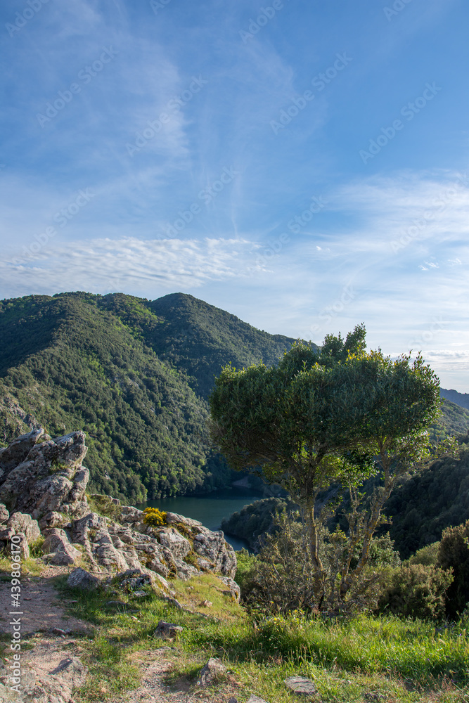 Canvas Prints Corse du sud, France