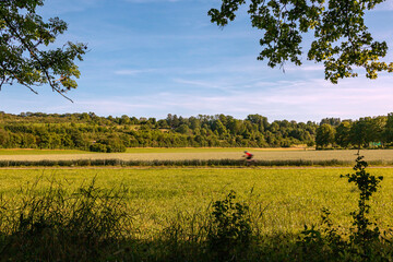 Fototapety na wymiar - Fototapeta24.pl