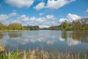 Fototapeta premium Heidesee in Müden (Örtze) 