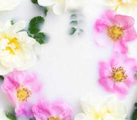 Bush rose in milk . Flowers in milk . Spa treatments. Romantic. Romantic setting. Fresh flowers. Copy space .