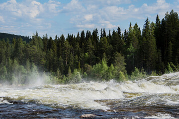 High current river in the forest.