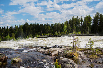 High current river in the forest.