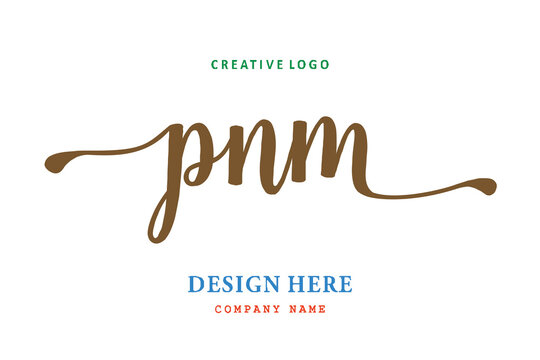 PNM lettering logo is simple, easy to understand and authoritative