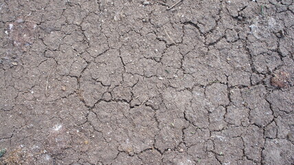 Dry ground cracks. Cracks in the soil. Desertification
