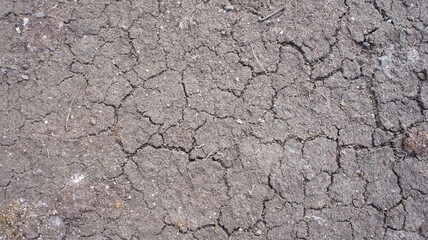 Dry ground cracks. Cracks in the soil. Desertification