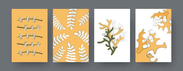 Naklejka premium Collection of contemporary art posters with undersea algae. Underwater plants, seaweed cartoon vector illustrations. Marine life, nature concept for designs, social media, postcards, invitation cards