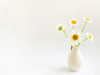 Flower composition.  High key photography with white daisies in a clay vase on a white background.  Natural light template for your projects.