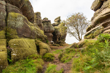 Brimham Rocks