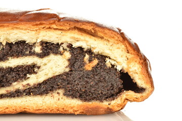 One fragrant sweet poppy roll, close-up, isolated on white.