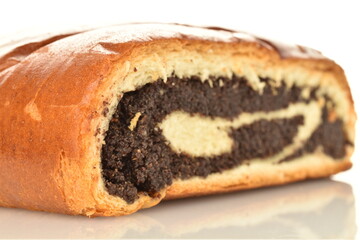 One fragrant sweet poppy roll, close-up, isolated on white.