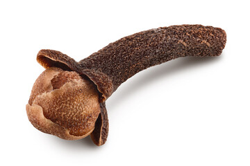 Dry spice cloves isolated on white background with clipping path and full depth of field.