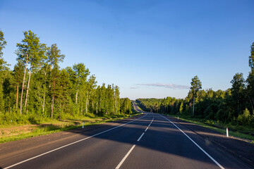 new road in forest area