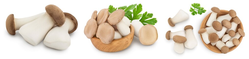 King Oyster mushroom or Eringi isolated on white background . Set or collection