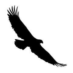 Vector flat style black silhouette illustration of a realistic flying American eagle - isolated on white background. Full editable and scalable high quality eps file available.
